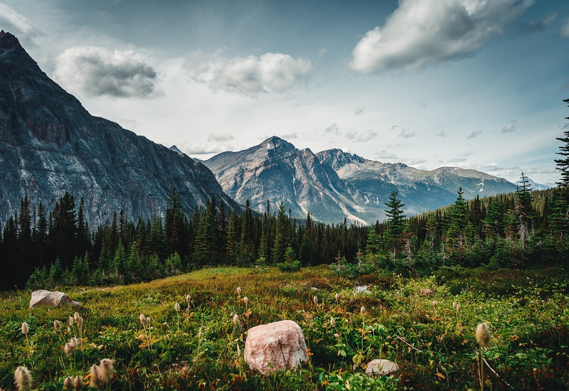 photography 10 DGMXQjm