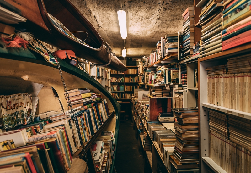 photography 4 cvhEIDo